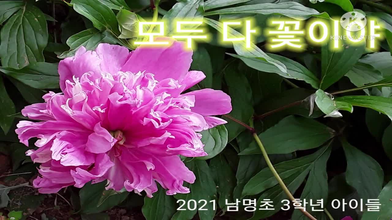 2021. 3학년 학급 뮤직비디오, 모두 다 꽃이야!