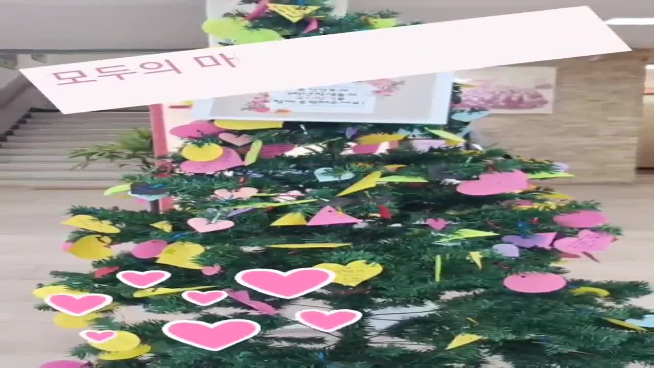 2023. 보건간호과 3학년 학생들의 국가고시 합격 응원 나무 