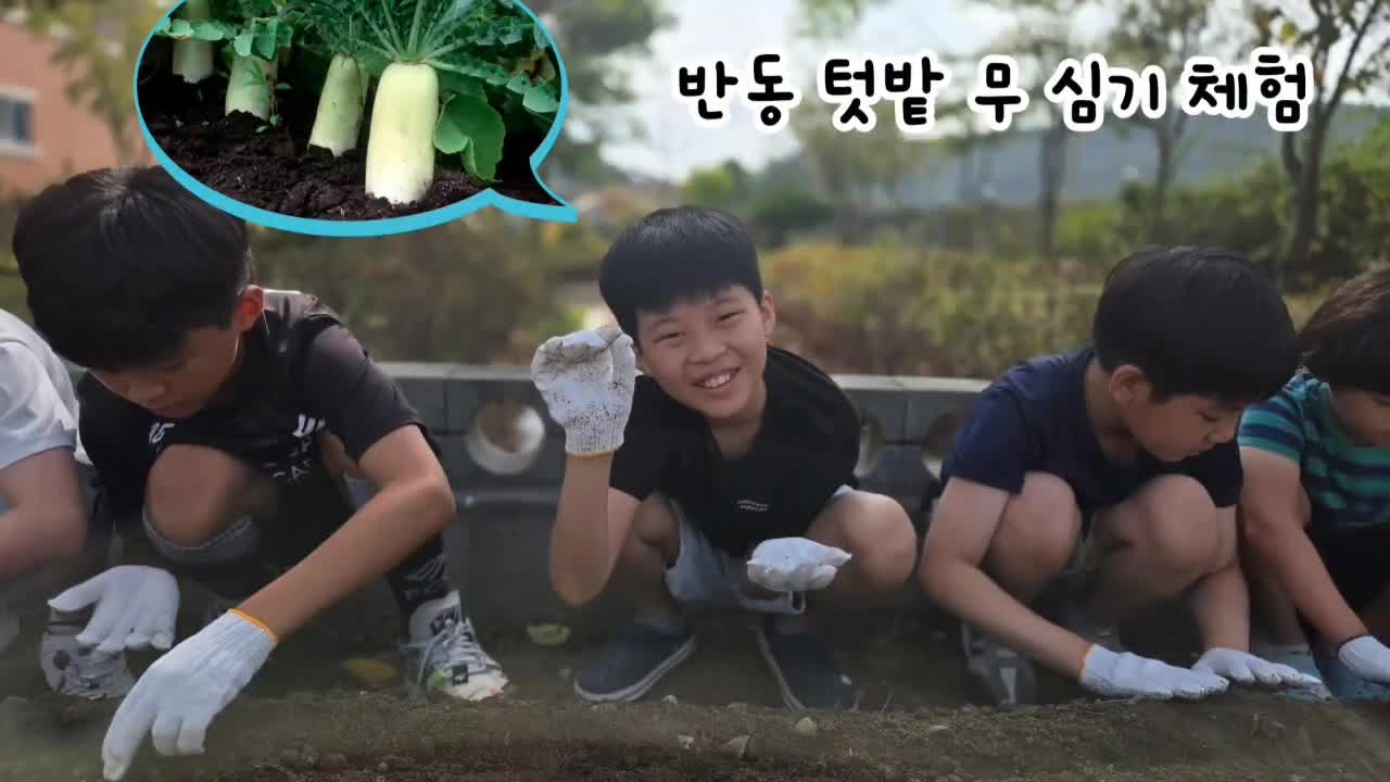 2025.9.8.반동 텃밭 무 심기 체험